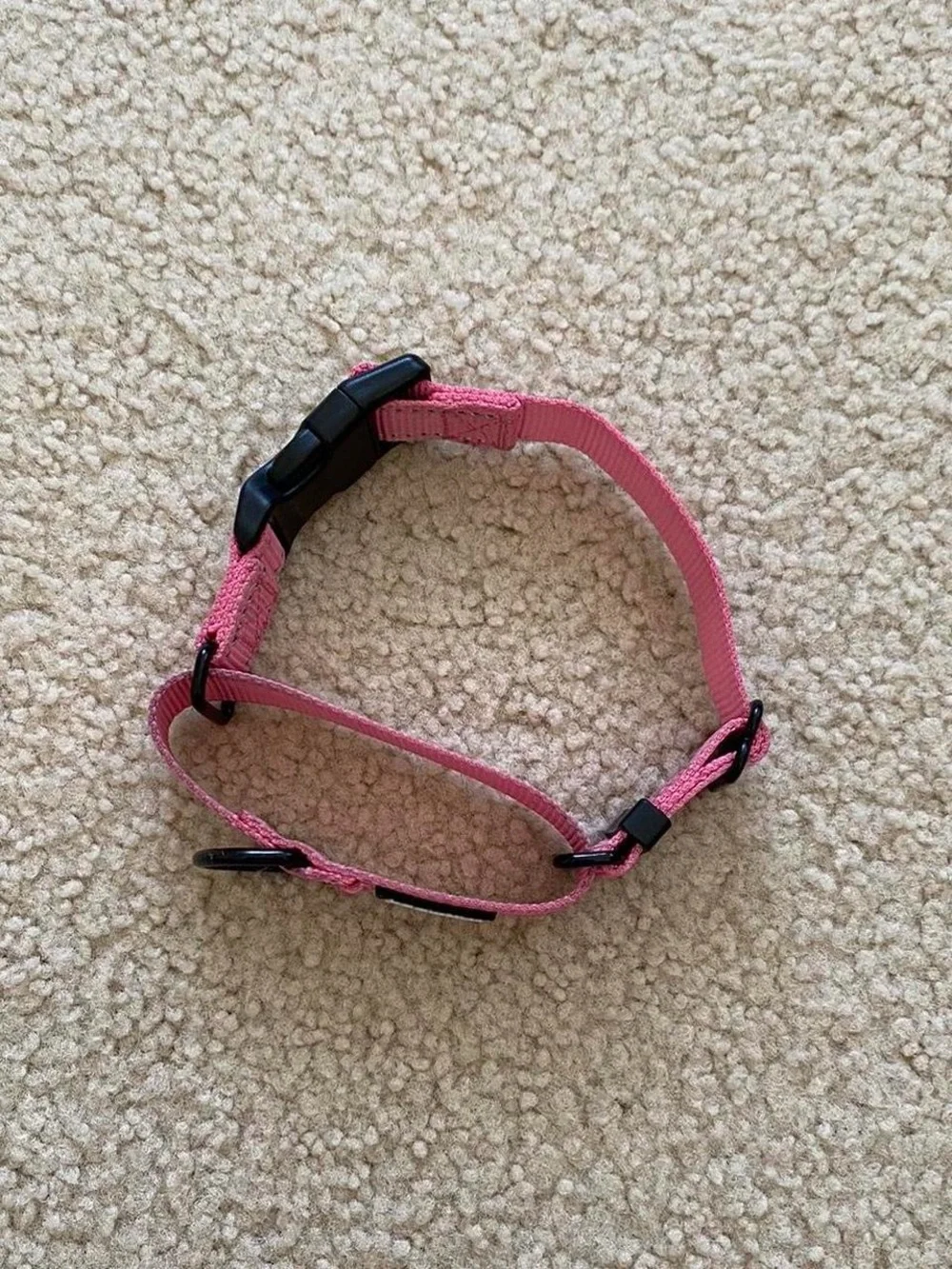 Haapaw Pink Adjustable Dog Collar with Black Hardware